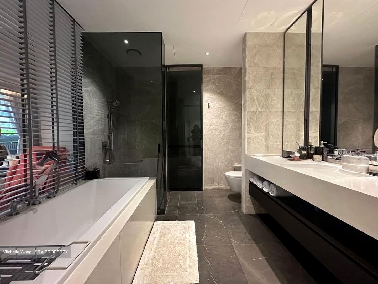 Amber Park (D15), Condominium #558276041
